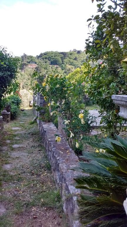 Villa Federici La Spezia Ngoại thất bức ảnh
